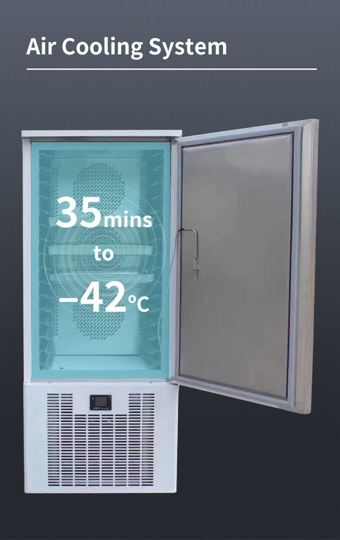 Быстрый чистосердечный коммерчески охладитель взрыва кухни глубокой заморозки охладителя и морозильной камеры 5